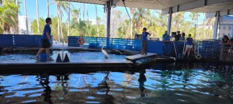 20250404_103543.webp 20250404_103543.webp