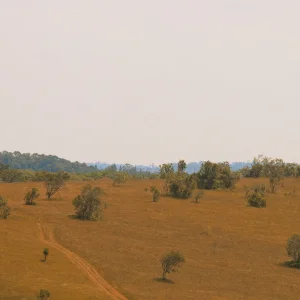 Media 'RDT_20250320_1353087733750508184351254.webp' in category 'Cambodia'